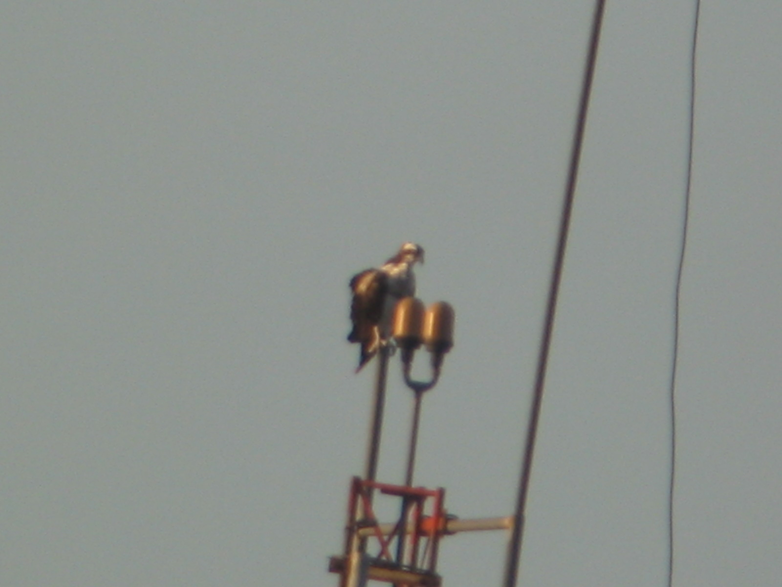 FIGURE 2 FIGURE 2
